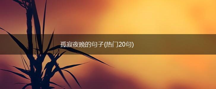 孤寂夜晚的句子(热门20句),第1张