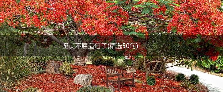 坚贞不屈造句子(精选50句),第1张