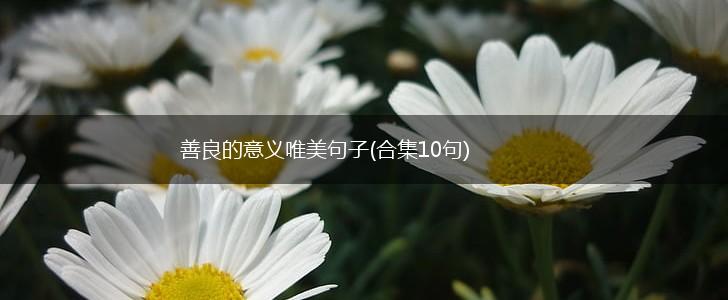善良的意义唯美句子(合集10句),第1张
