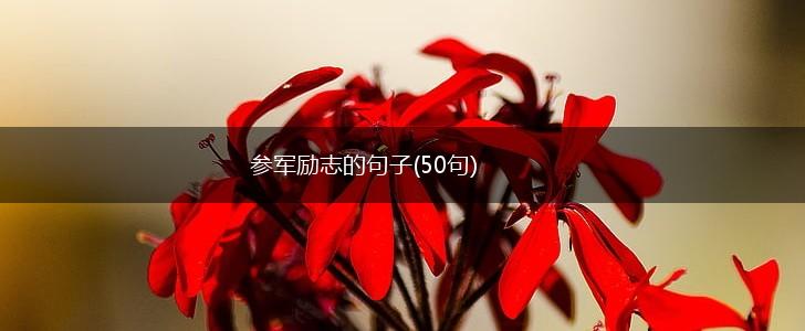 参军励志的句子(50句),第1张