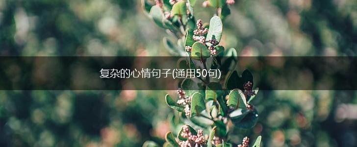 复杂的心情句子(通用50句),第1张
