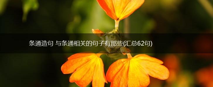 条通造句 与条通相关的句子有那些(汇总62句),第1张