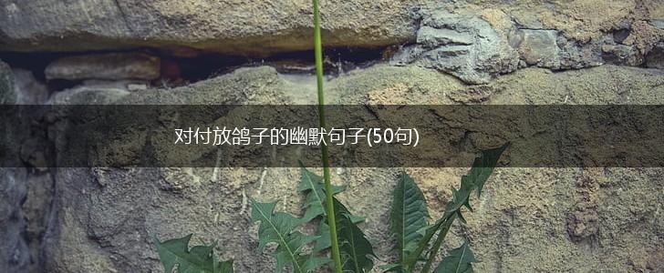 对付放鸽子的幽默句子(50句),第1张