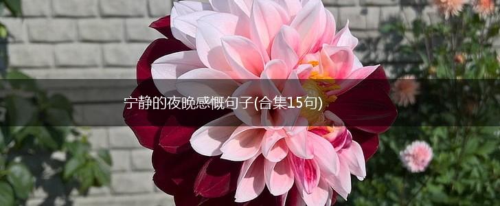宁静的夜晚感慨句子(合集15句),第1张
