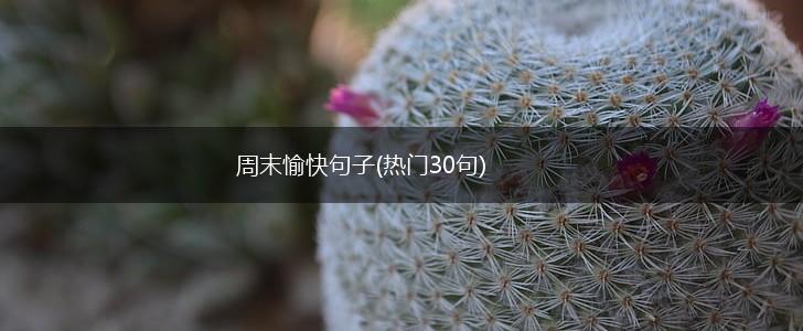 周末愉快句子(热门30句),第1张