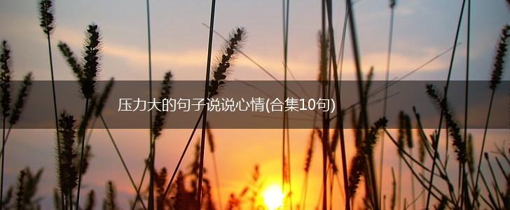 压力大的句子说说心情(合集10句),第1张