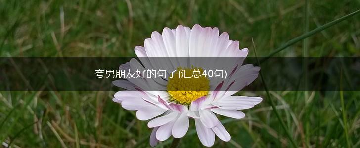 夸男朋友好的句子(汇总40句),第1张