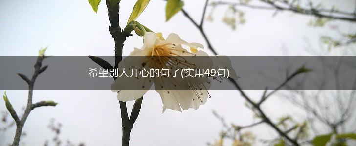 希望别人开心的句子(实用49句),第1张