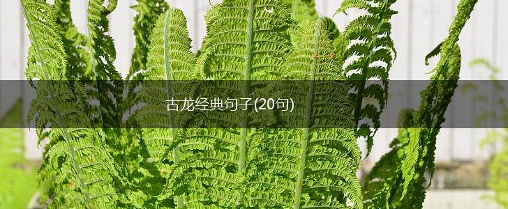 古龙经典句子(20句),第1张