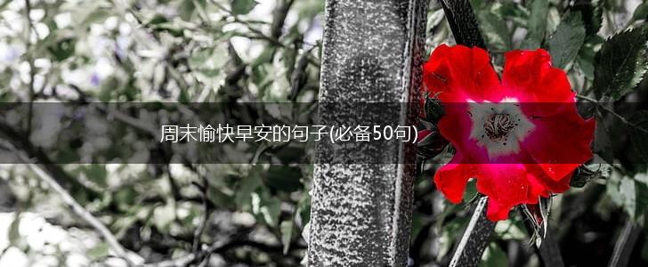 周末愉快早安的句子(必备50句),第1张