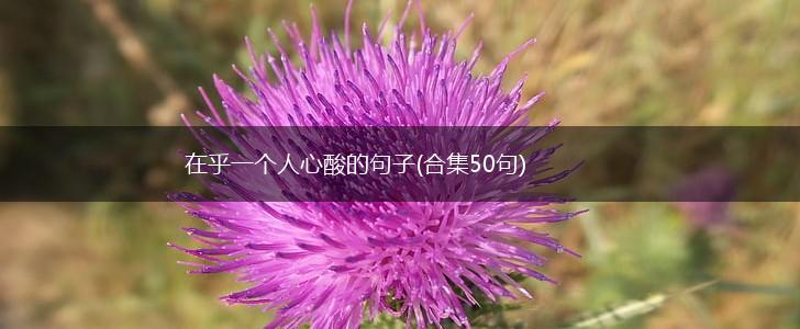在乎一个人心酸的句子(合集50句),第1张
