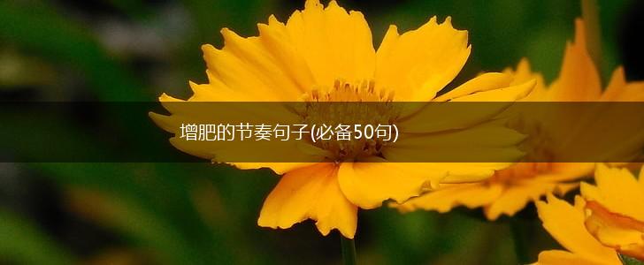 增肥的节奏句子(必备50句),第1张