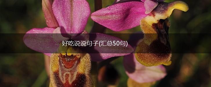 好吃说说句子(汇总50句),第1张