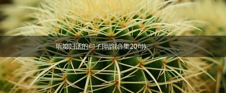 听媳妇话的句子押韵(合集20句),第1张