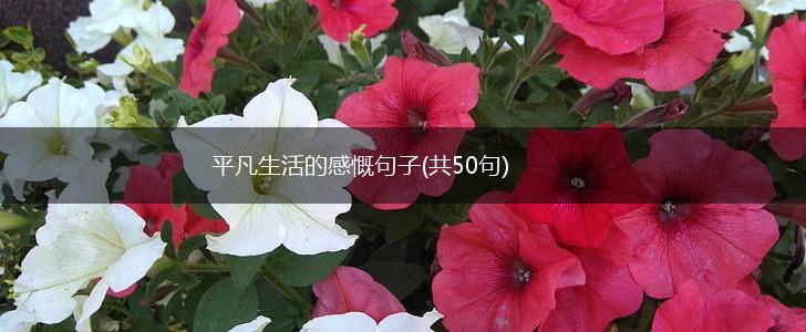 平凡生活的感慨句子(共50句),第1张