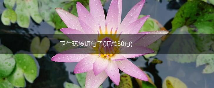 卫生环境短句子(汇总30句),第1张