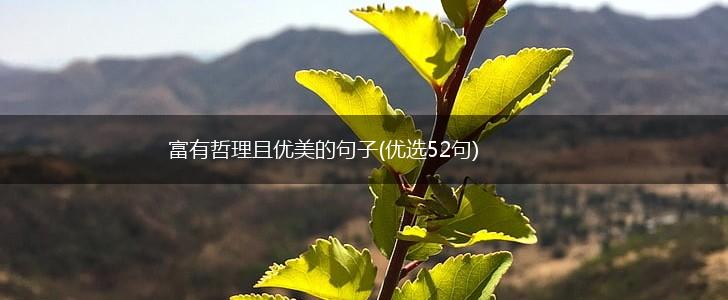 富有哲理且优美的句子(优选52句),第1张