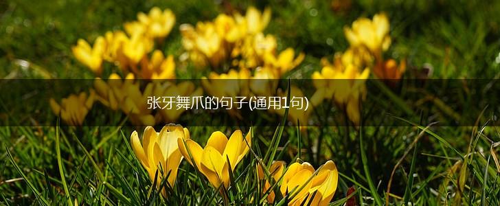 张牙舞爪的句子(通用1句),第1张