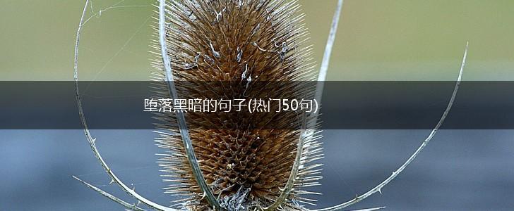 堕落黑暗的句子(热门50句),第1张