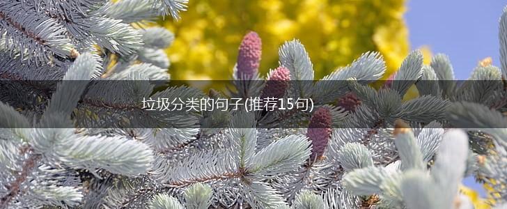 垃圾分类的句子(推荐15句),第1张