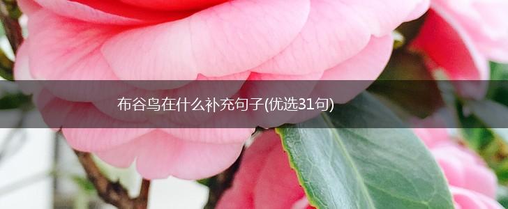 布谷鸟在什么补充句子(优选31句),第1张