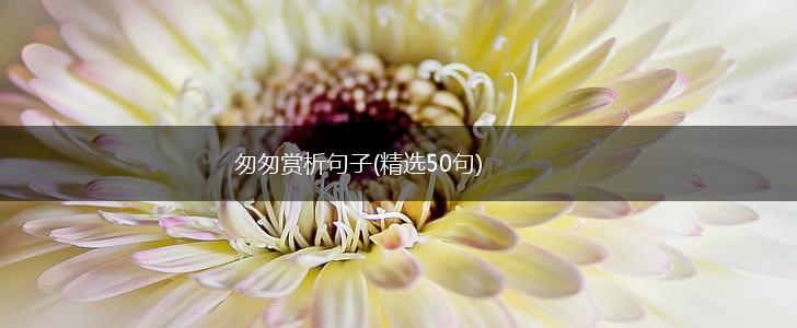 匆匆赏析句子(精选50句),第1张
