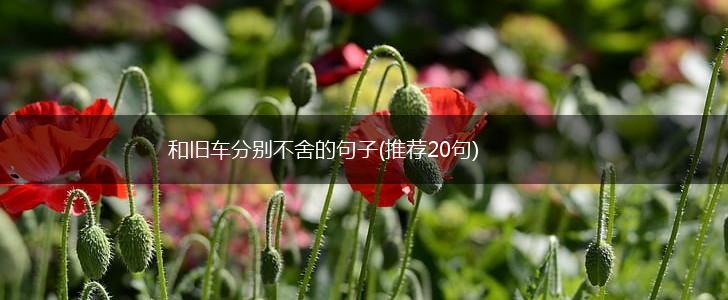 和旧车分别不舍的句子(推荐20句),第1张