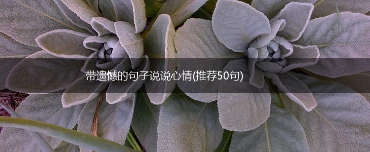 带遗憾的句子说说心情(推荐50句),第1张