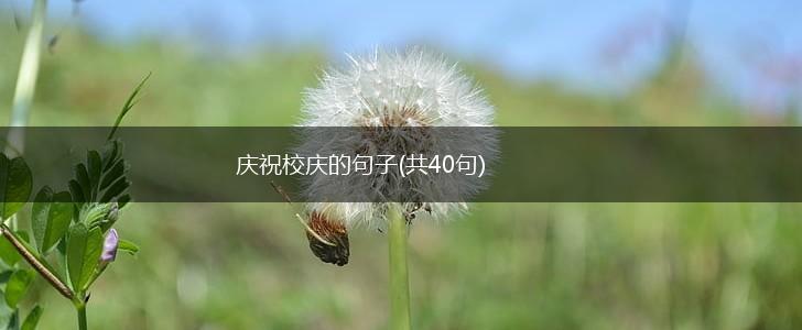 庆祝校庆的句子(共40句),第1张