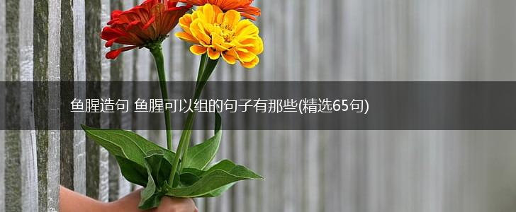 鱼腥造句 鱼腥可以组的句子有那些(精选65句),第1张