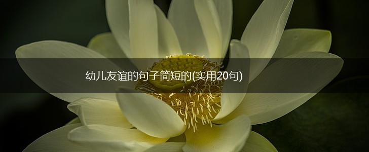 幼儿友谊的句子简短的(实用20句),第1张