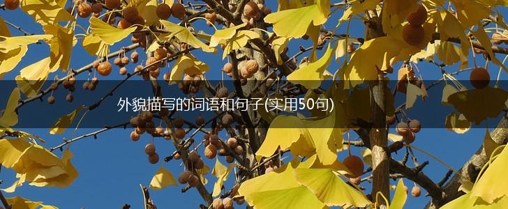 外貌描写的词语和句子(实用50句),第1张