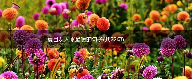 夏目友人帐最暖的句子(共22句),第1张