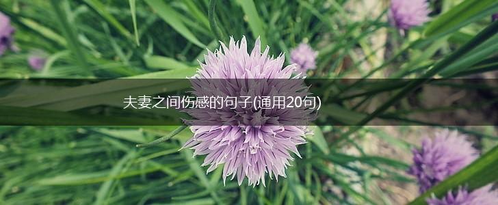 夫妻之间伤感的句子(通用20句),第1张