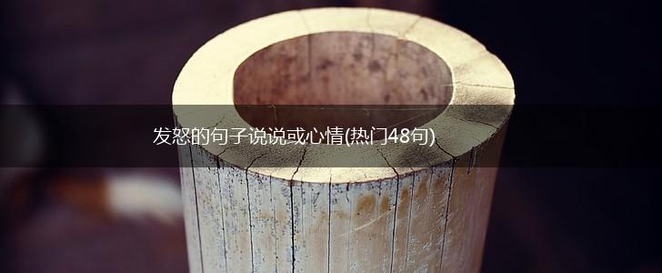 发怒的句子说说或心情(热门48句),第1张