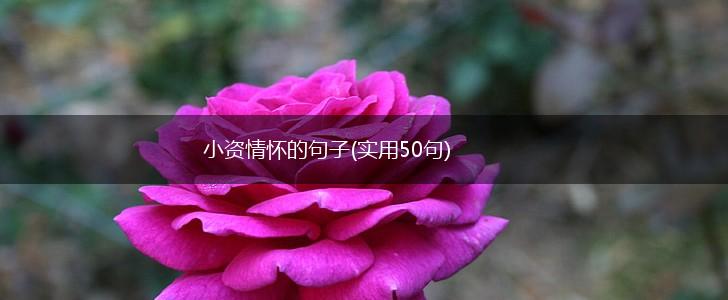 小资情怀的句子(实用50句),第1张
