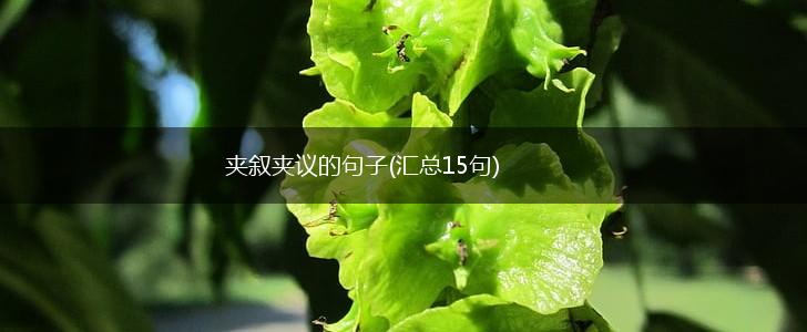 夹叙夹议的句子(汇总15句),第1张