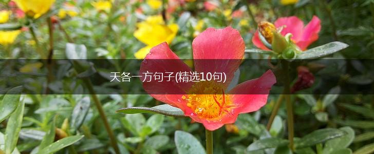 天各一方句子(精选10句),第1张