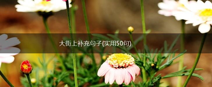 大街上补充句子(实用50句),第1张