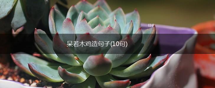 呆若木鸡造句子(10句),第1张