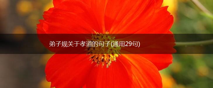 弟子规关于孝道的句子(通用29句),第1张