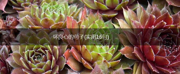坏良心的句子(实用16句),第1张