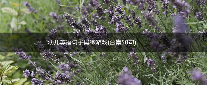 幼儿英语句子操练游戏(合集50句),第1张