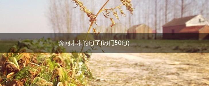 奔向未来的句子(热门50句),第1张