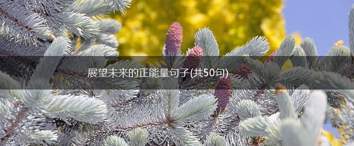 展望未来的正能量句子(共50句),第1张