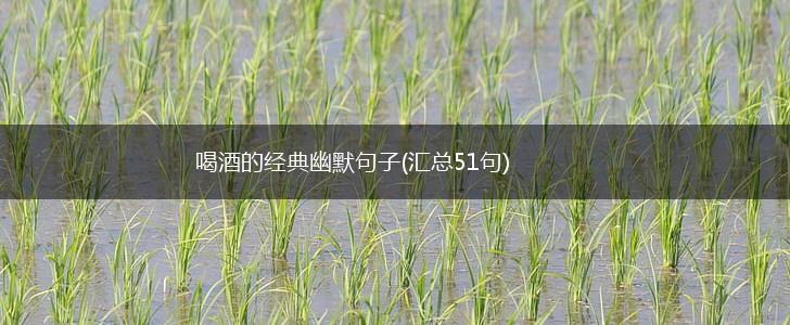 喝酒的经典幽默句子(汇总51句),第1张