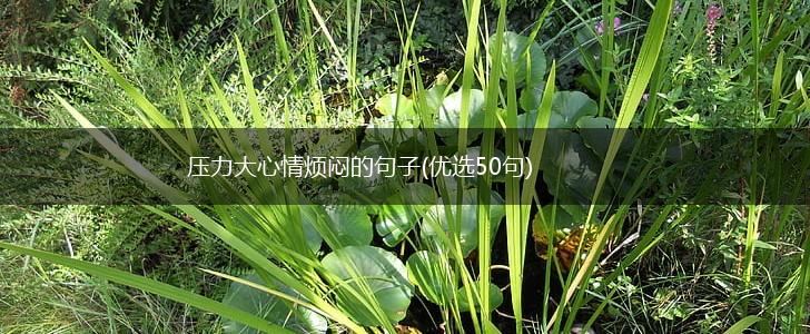 压力大心情烦闷的句子(优选50句),第1张