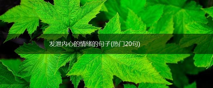 发泄内心的情绪的句子(热门20句),第1张