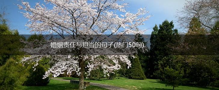 婚姻责任与担当的句子(热门50句),第1张