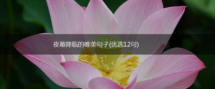 夜幕降临的唯美句子(优选12句),第1张